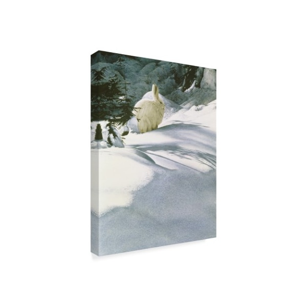 Ron Parker 'Snow Shoe Hare' Canvas Art,35x47